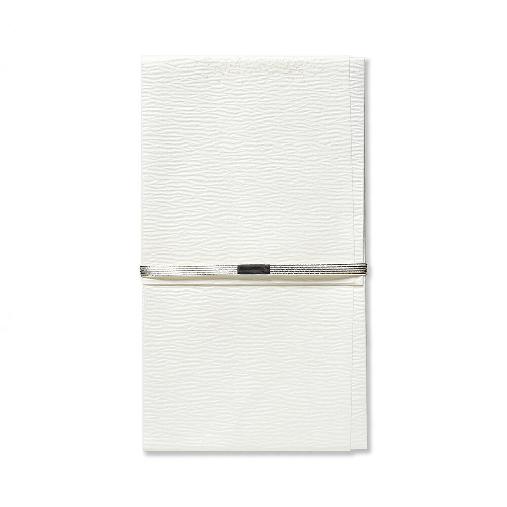 不祝儀袋 弔事 天穹 中 純銀水引 185x105mm 1組入 | G.C.PRESS（ジーシープレス） | 文房具 中包付 短冊付 仏事 御霊前 御布施 御仏前 御香典