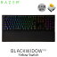 Razer公式 Razer BlackWidow V3 JP Yellow Switch 日本語配列 黄軸 メカニカル ゲーミングキーボード # RZ03-03542300-R3J1 レーザー (キーボード)