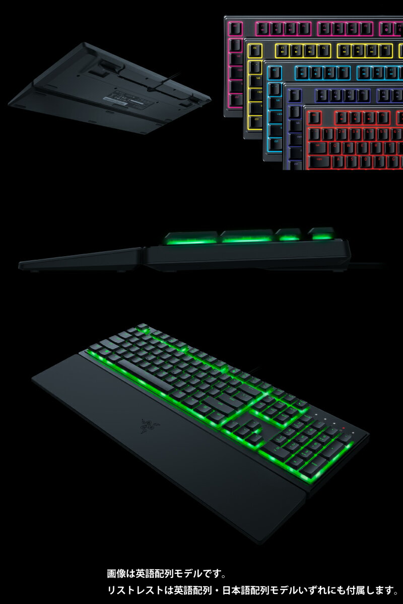 Ornata V3 サムネイル6