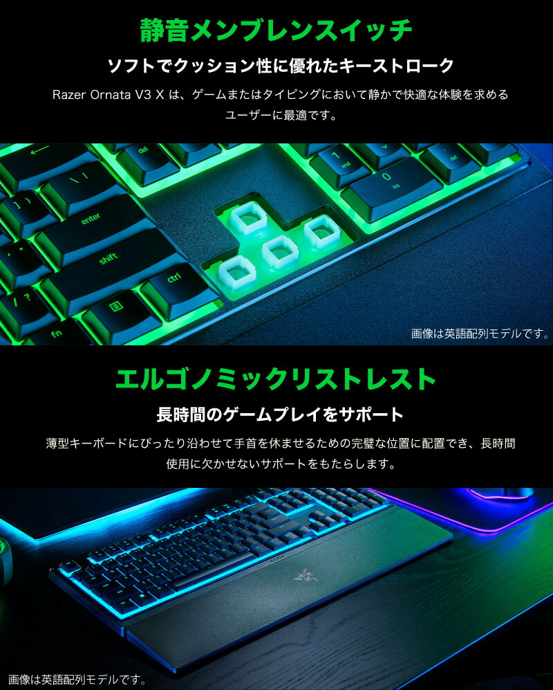 Ornata V3 サムネイル7