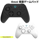 Team GRAPHT Omni 有線 / 無線 軽量ゲームパッド Windows PC / Switch / Android 対応 チームグラフト (ゲームパッド)