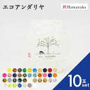【最大700円OFFクーポン:マラソン限定】【10玉セット】毛糸 Hamanaka ハマナカ エコアンダリヤ 編み物 あみぐるみ 手編み かぎ針編み 棒針編み ニット糸 毛糸セット 初心者向け毛糸 ナチュラル毛糸 通販 おしゃれ ベビー用毛糸 セーター用毛糸 毛糸 詰め合わせ