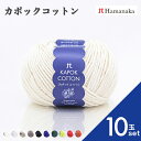 【10玉セット】ハマナカ カポックコットン 毛糸 編み物 あみぐるみ 手編み かぎ針編み 棒針編み ニット糸 毛糸セット 初心者向け毛糸 ナチュラル毛糸 通販 おしゃれ ベビー用毛糸 セーター用毛糸 毛糸 詰め合わせ