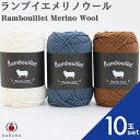 【最大700円OFFクーポン:マラソン限定】ダルマ ランブイエメリノウール【10玉セット】01-5810 DARUMA 秋冬毛糸 手編み糸 編み糸 毛糸 毛 ウ...