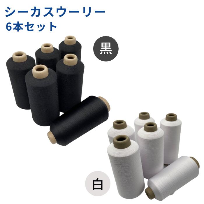 【お得な6本セット】ミシン糸 シーカスウーリー 200番 200g 白 黒 ミシン ロック ロックミシン ウーリー ストレッチ ニット 糸 洋裁 手芸 工業用 業務用 大巻 大容量 シーカス ホワイト ブラック ハンドメイド 手作り 糸 手芸糸 ミシン 手芸糸のサムネイル