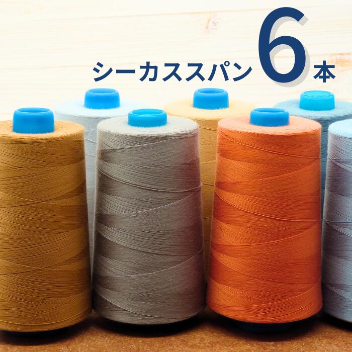 【お好きなカラー6本セット】 ミシン糸 シーカススパン 60番 5,000m ミシン 糸 OUTLET アウトレット 在庫処分 特価 セール 普通地 洋裁 手芸 工業用 業務用 大巻 大容量 カラー 60 シーカス ボビン糸 ハンドメイド 手作り 糸 手芸糸 ミシン 手芸糸