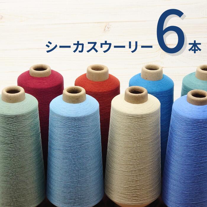【最大1500円OFFクーポン：マラソン限定】【お好きなカラー6本セット】 ミシン糸 シーカスウーリー 200番 200g ミシン ロック ロックミシン ウーリー ストレッチ ニット 糸 洋裁 手芸 工業用 業務用 大巻 大容量 カラー シーカス ホワイト ブラック 糸 手芸糸 ミシン 手芸糸