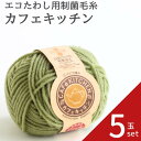 【最大700円OFFクーポン:マラソン限定】ダルマ カフェキッチン 花かご【5玉セット】01-5230 DARUMA アクリル毛糸 たわし エコたわし 制菌 銀...