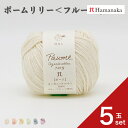 【5玉セット】 ハマナカ ポームリリー<フルーツ染め> 毛糸 編み物 あみぐるみ 手編み かぎ針編み 棒針編み ニット糸 毛糸セット 初心者向け毛糸 ナチュラル毛糸 通販 おしゃれ ベビー用毛糸 セーター用毛糸 毛糸 詰め合わせ