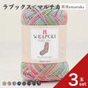 【3玉セット】 ハマナカ ラプックス<マルチカラー>