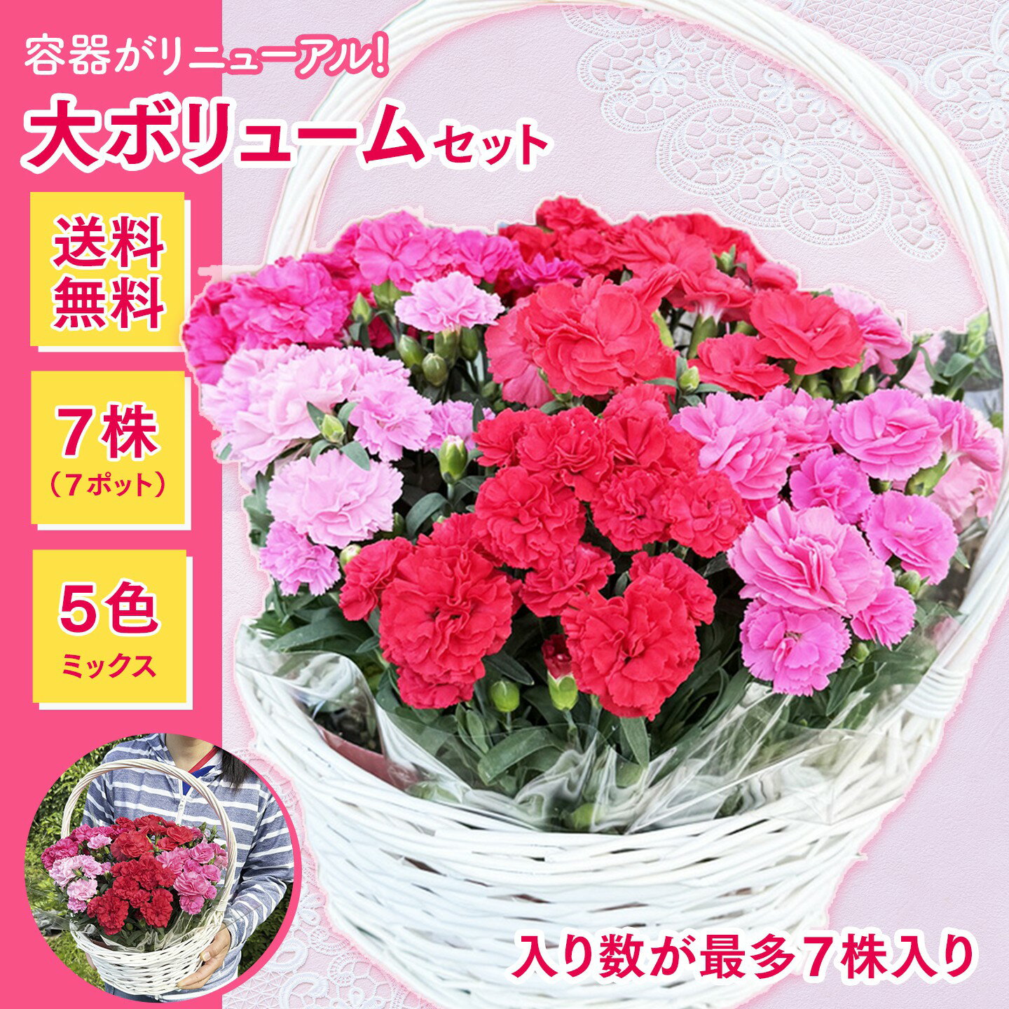 カーネーション【プリティ】山盛りバスケット （7株入り 5色ミックス）◆送料無料！◆母の日2026