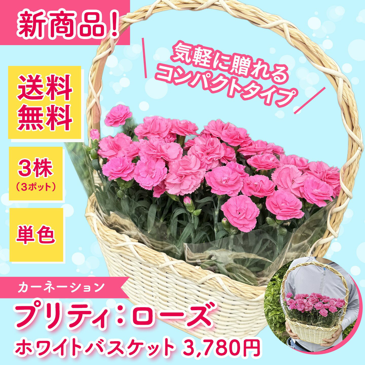 カーネーション【プリティ：ローズ】ホワイトバスケット （3株入り）◆送料無料！◆母の日2026