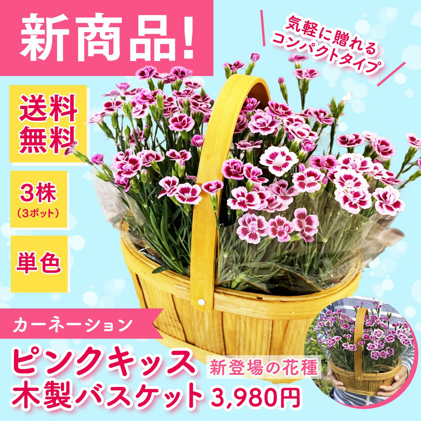 粉红 - ガーデンカーネーション【ピンクキッス】木製バスケット （3株入り）◆送料無料！◆母の日2026