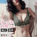 即納【送料無料】ノンワイヤー ブラジャー ショーツセット 脇高 補正 谷間 フルレース ブラジャー ブラショーツ 上下セット 育乳ブラ 盛りブラ バストアップ ...