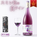【限定クーポン付き・正規品・楽天1位】ギフトに最適な希少なスミレ色の白ワイン ■ ヴァイオレットセブン 白ワイン7.0% 半甘口 ライトボディ オーストラリアワ...