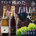 【正規品】ノンアル紅白2本セット ワインを極めたノンアル 赤白飲み比べセット!スパークリング ノンアル 赤ワイン & スパークリング ノンアル 白ワイン を 飲み比べ!ギフトに最適