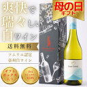 【5/5限定5%OFFクーポン付】母の日ギフトに最適な王道のソーヴィニョン・ブラン 12.0% 辛口 ライトボディ オーストラリアワイン 750ml ギフト 熨斗 お祝い お酒 誕生日 クリスマス プレゼント 内祝い お返し 結婚祝い 快気祝い 退職祝い