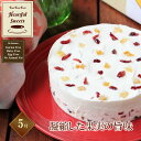【低糖質】 誕生日ケーキ 「ふりふりレアチー」 ドライフルーツ 5号 グルテンフリー 低糖質 糖質制限 スイーツ チーズケーキ お菓子 乳製品不使用 誕生日 送...