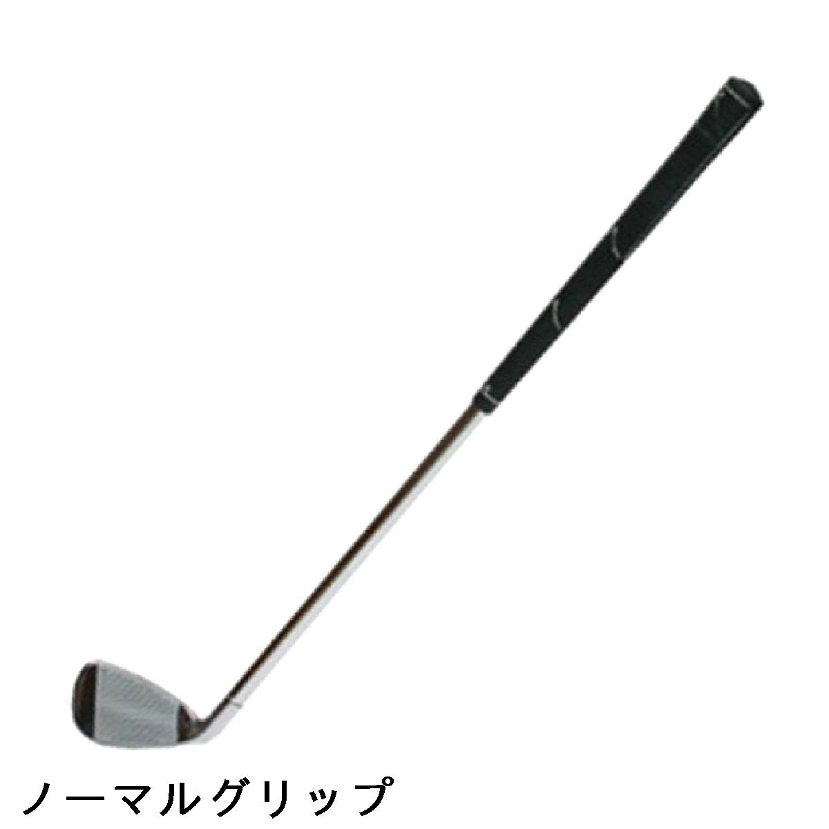広田ゴルフ ロジャーキング ロジャーキング 飛...の紹介画像2