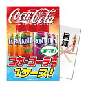 パネもく!選べる コカ・コーラ製品1ケース 目録 A4パネル付き