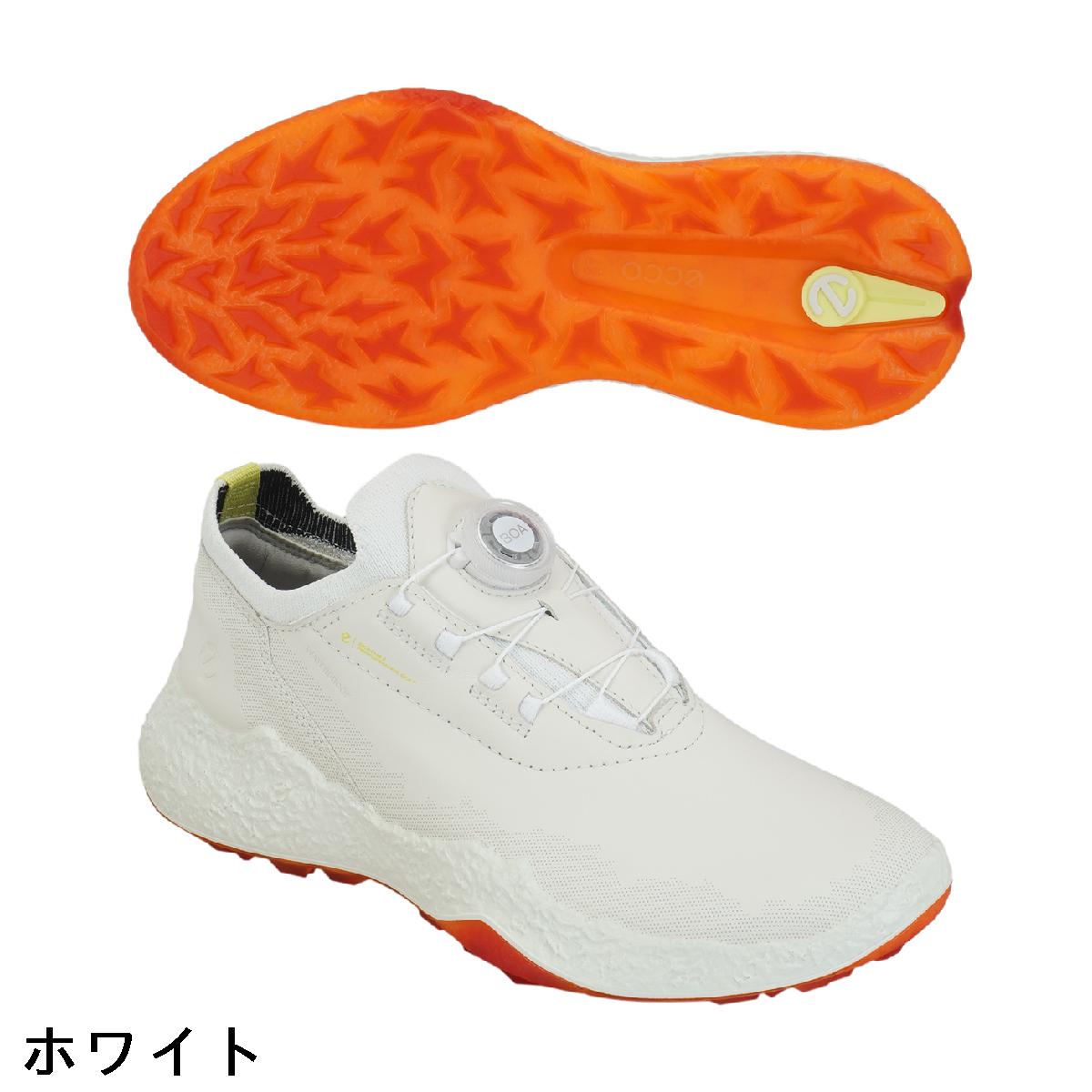 ecco　エコー　BIOM H5 BOA シューズ　レディス