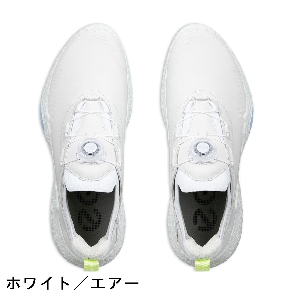 ecco����������BIOM H5 BOA ���塼������ǥ���