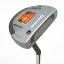 【中古】テーラーメイド SPIDER SPIDER GT ロールバック スモールスラント パター スチールシャフト 【33】シャフト:スチールシャフトCランク ...