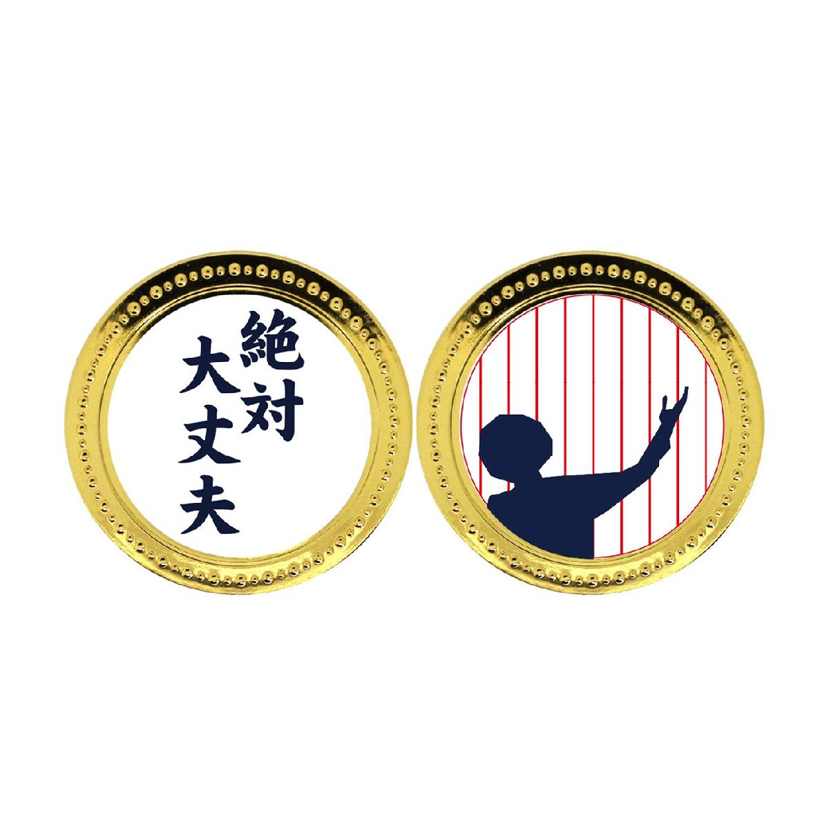 絶対大丈夫 チップマーカー