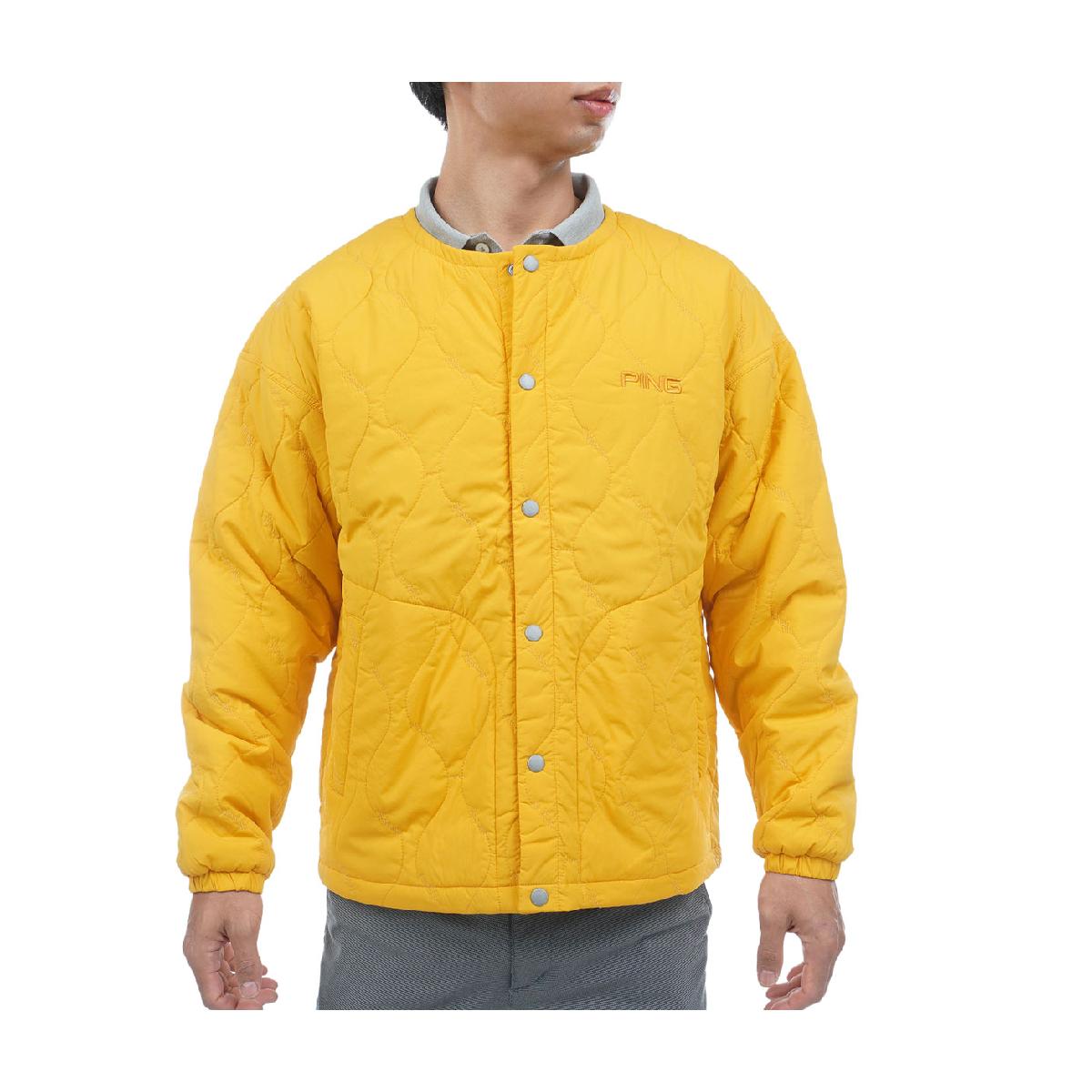 �ԥ�PING�����ȥ�å����ե�����ƥ��� �Ρ����顼�֥륾��