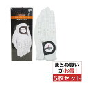 タイトリスト TITLEIST プロフェッショナル グローブ 5枚セット