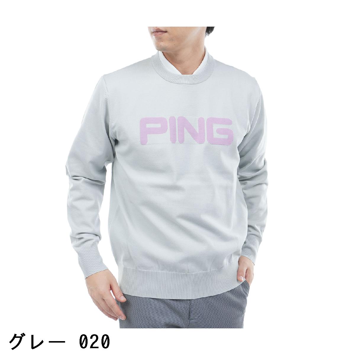 �ԥ�PING��10���顼 ���롼�ͥå���������