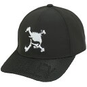 オークリー　Skull　スカル BRIM 24.0 ロゴキャップ