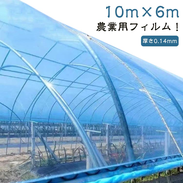 農業用フィルム 厚さ0.14mm ビニールハウス 温室フィルム 長さ10m 幅6m トンネルフィルム 農業用 フィルム 耐久 透明 ガーデニング 家庭菜園 栽培 園芸用 園芸用品 防塵