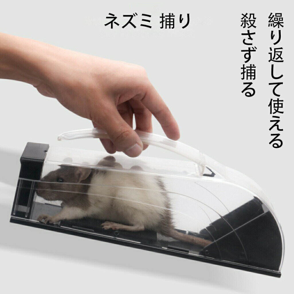 乐天商城 - ネズミ捕り器 踏み板式 ねずみとり マウストラップ ネズミ取りカゴ ネズミ捕獲器 プラスチック 殺さず捕る 家庭菜 簡単組立 リサイクル可能 繰り返して使える続ネズミ捕り