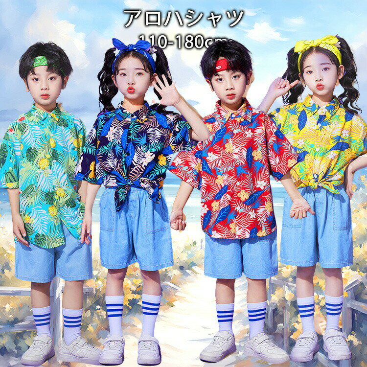 �٥ӡ� �ˤλ� �����ϥ���� �Ҷ��� �꥾���� ���å� ���� �岼���å� �ӡ��������� Ⱦµ����� ι�� �ϥ磻�� ������� �� 110 120cm �ӡ�������� ��������� �İ��� �� �Ļ�