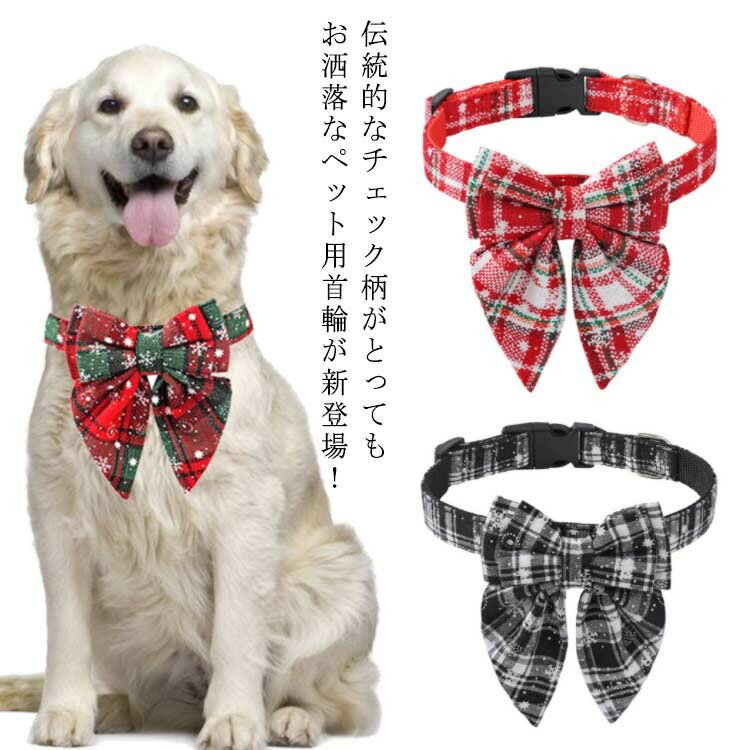 ǭ 淿 ĳͥ  å ܥ 緿 顼 ͥ å  η뾽 ǭѼ  ꥹޥ  ǭ...