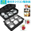 2点セット 製氷皿 製氷器 製氷機 6個取り 蓋付き シリコン アイスボール 丸氷 四角い氷 大きい 溶けにくい 透明氷 ロックアイス ビール ハイボール アイスクリ カルピス ジュース