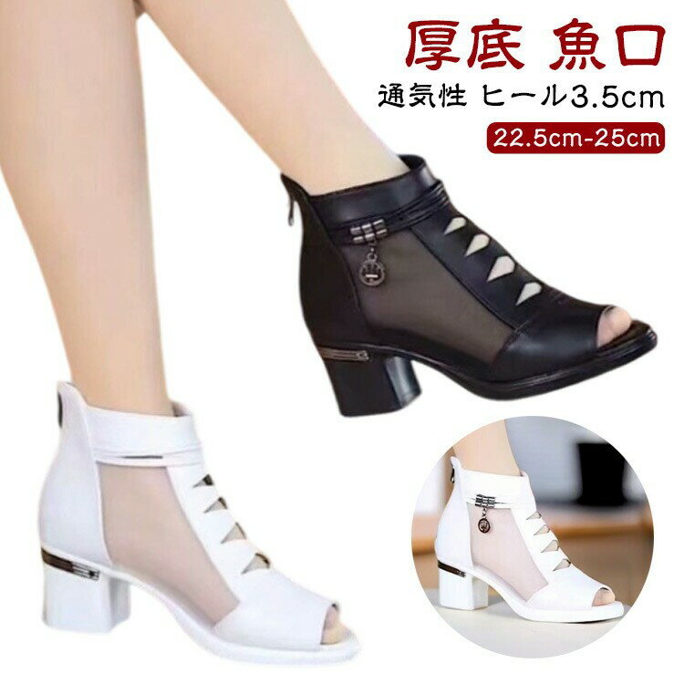 YLX TRADEŷԾŹ㤨ֲ å奵 ֡ ǥ   󥭡ҡ ҡ ҡ3.5cm  ̵ ѥץ ˤ ˤʤ  å  ⤭䤹פβǤʤ1,600ߤˤʤޤ