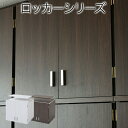 ロッカー 上置き 棚 ラック 上棚 単品 のみ 上置きのみ単品 幅60 天井 つっぱり 収納 クローゼット 衣類収納 服 洋服 衣類 天袋 棚 アイデア 収納術...