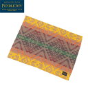 ペンドルトン PENDLETON Lunch Mat (2P) SawthMT ソートゥースマウンテン アウトドア PEN19804252938000