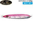エバーグリーン EVERGREEN カプリスエッジ 250g ルアー ソルト ジギング AZREVG081