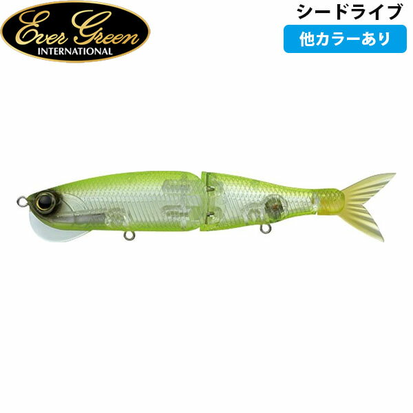 С꡼ EVERGREEN ɥ饤 륢  Х AZREVG120