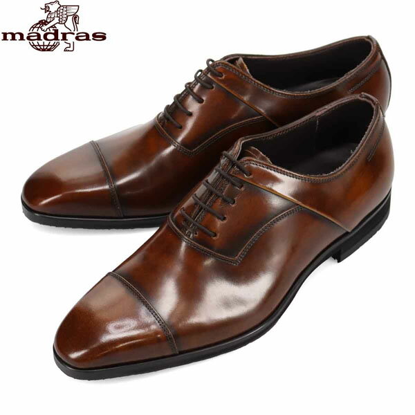 ޥɥ饹 madras   ɥ쥹塼 ӥͥ塼 SPM451 L-BROWN ȥ졼ȥå ɽ  ý ɳ MDRSPM451LBR