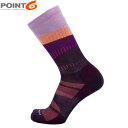 POINT6 ポイント6 メンズ レディース 靴下 ソックス メリノウール Horizon Ultra Light Crew Bordeaux 薄手 ウルトララ...