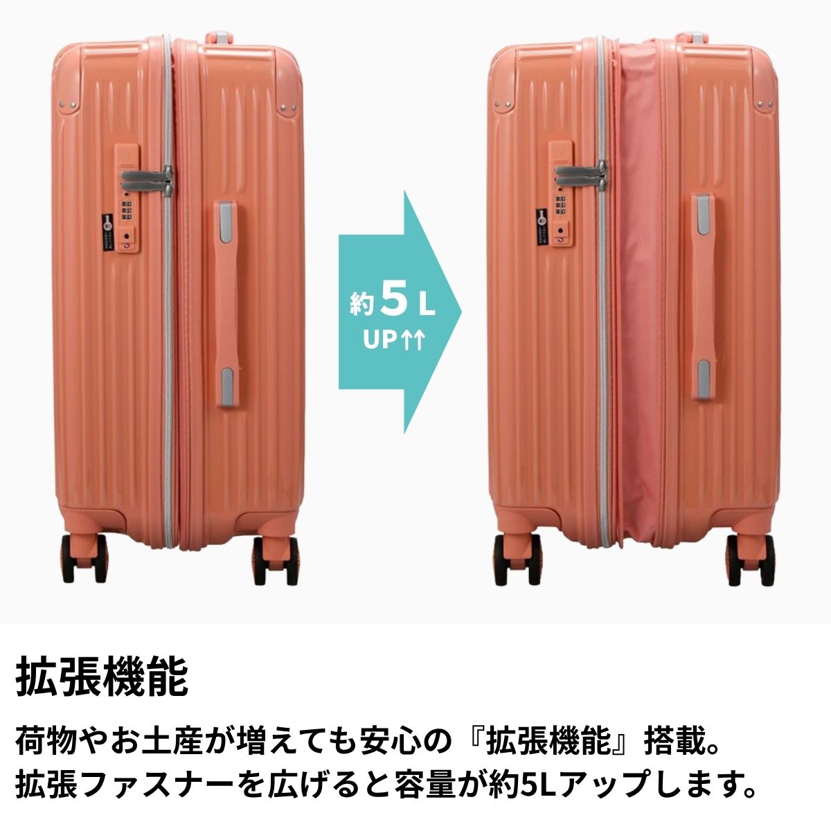 【SALE 55%OFF】 シフレ TRIDE...の紹介画像3