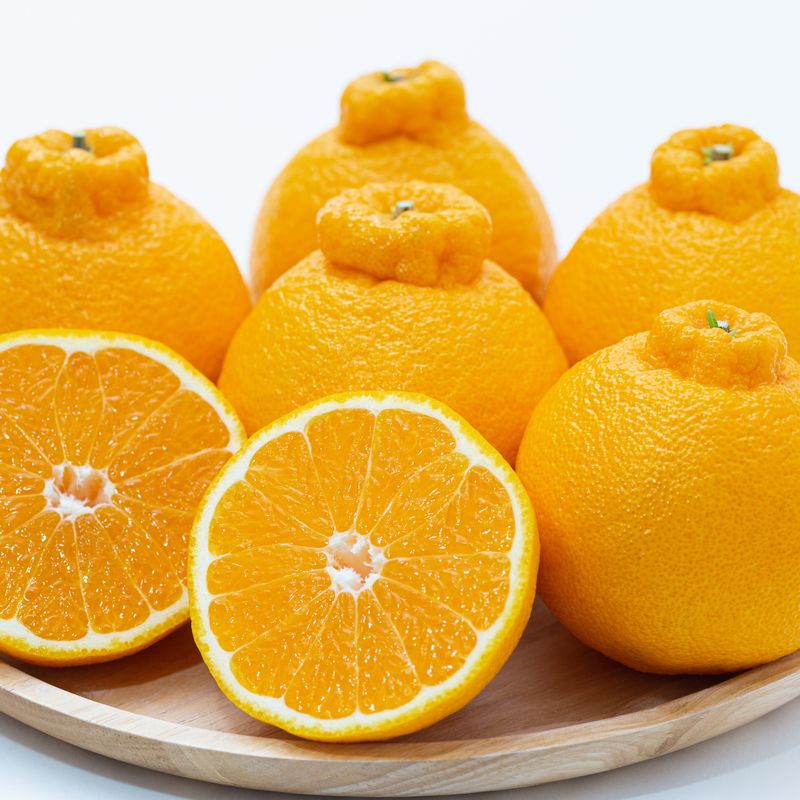 【早割＆P10倍】お歳暮