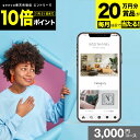 【20万円分賞品が当たる+P10倍+レビューキャンペーン】ソーシャルギフト 3000円 ワイルドサンクス 出産内祝い 結婚内祝い プレミアム ギフトカタログ e...