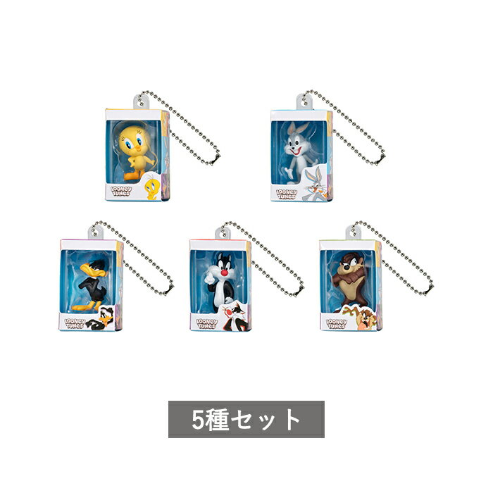 【予約商品】 LOONEY TUNES ミニチュアパッケージチャーム 全5種 セット コンプリート ガチャ がちゃ