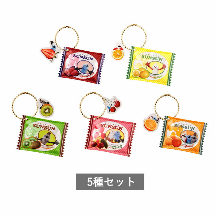 【予約商品 11月発売予定 】パペットスンスン ひょっこり！シャカシャカキャンディチャーム 全5種 セット コンプリート ガチャ がちゃのサムネイル