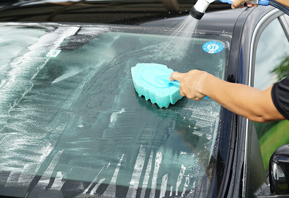 ���ե�99 �˥塼����ͤ��������꡼�ʡ� 05054